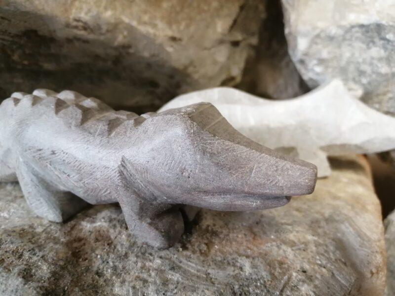 krokodil close krokodil close