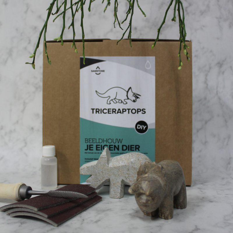diy_tricep2