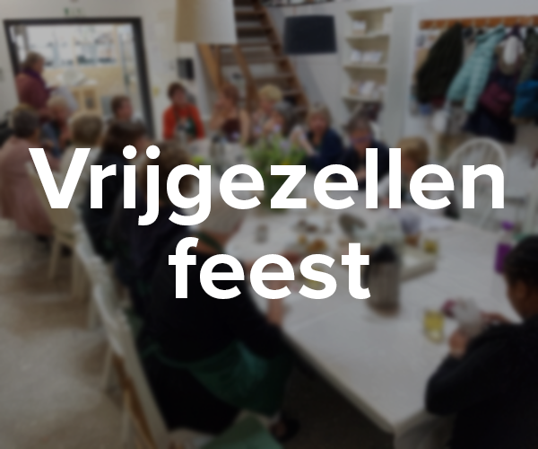 vrijgezellen feest