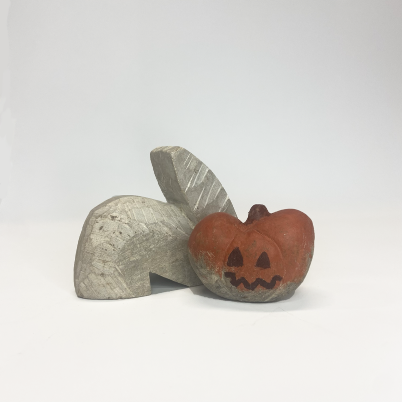 DIY pakket pompoen startmodel SamStone productafbeelding