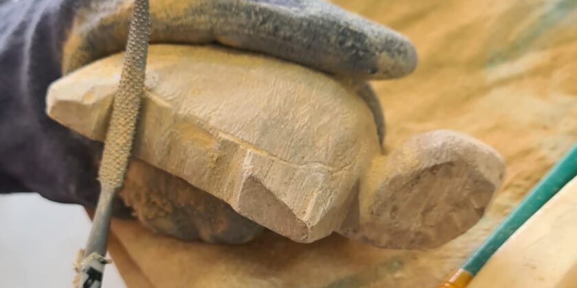 schildpad diy-pakket samstone