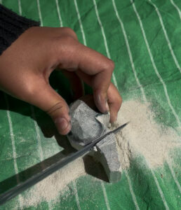 pootjes van konijn weg voor pompoen