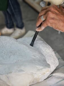 close-up guts beitel