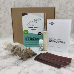 diy-pakket tweekoppige draak