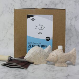 vis speksteen doe het zelf pakket samstone