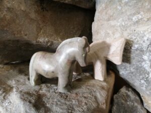paard ver
